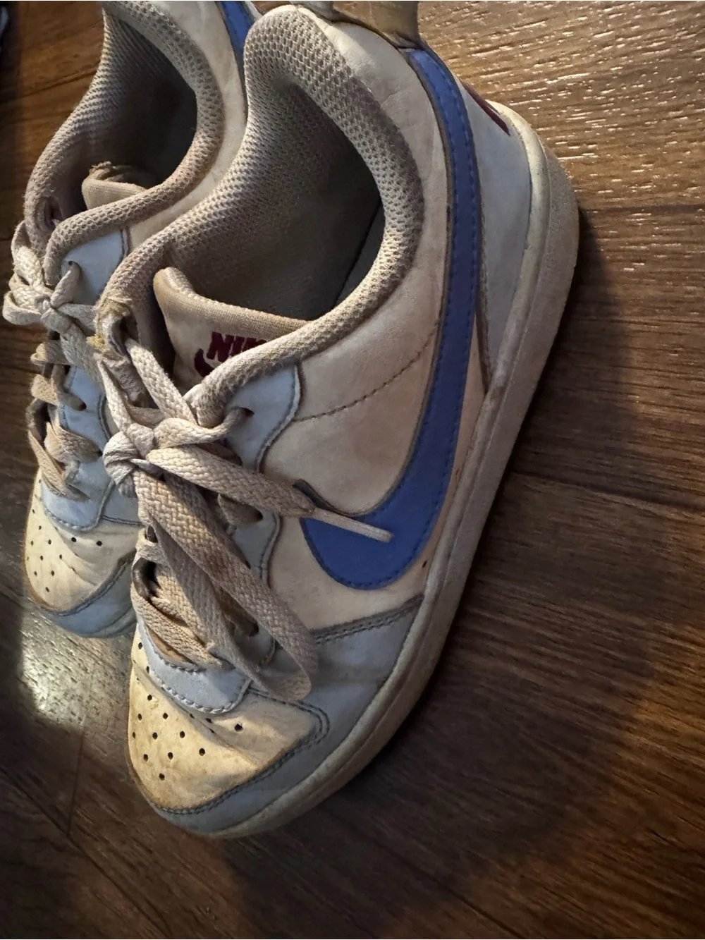 Nike Kids White and Blue Low-Top Sneakers dunks